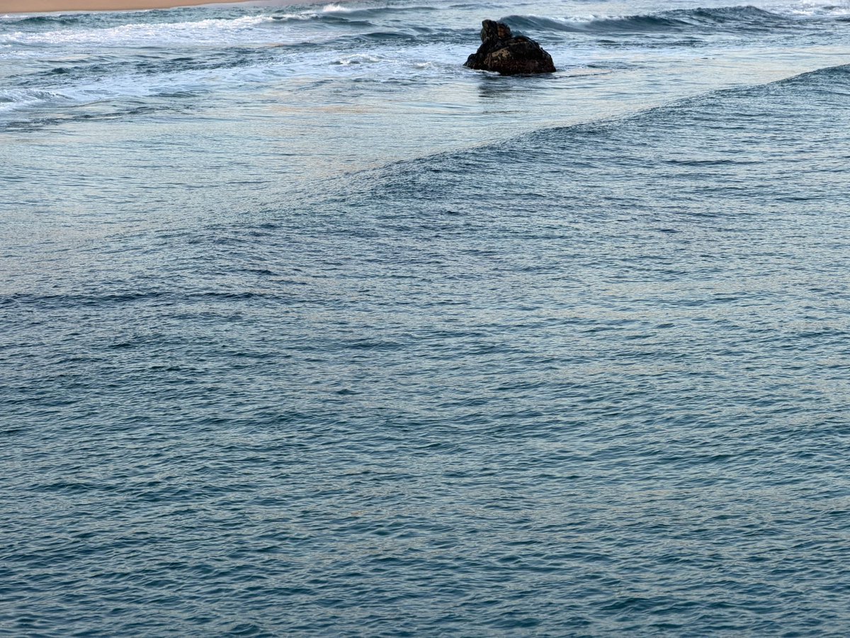 sthisforever's tweet photo. 짧았지만 감정은 오래기억될 강릉여행🌊 https://t.co/OaozfHoisS