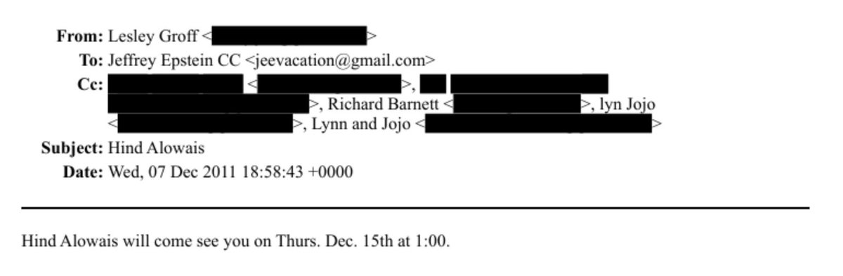 MarioNawfal's tweet image. Hind Alowais is now Director of the UAE Permanent Committee for Human Rights (PCHR). 

By the hour Epstein scheduled at that time, they seemed to get along quite well....