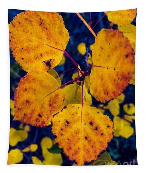 erinmdorffette's tweet image. A #tapestry or #tapestries for your #wallart is a simple and fun way to get your #walldecor #ocean #nature #beach #mountains 

faa.savingmemoriesbymakingmemories.com/featured/the-s…