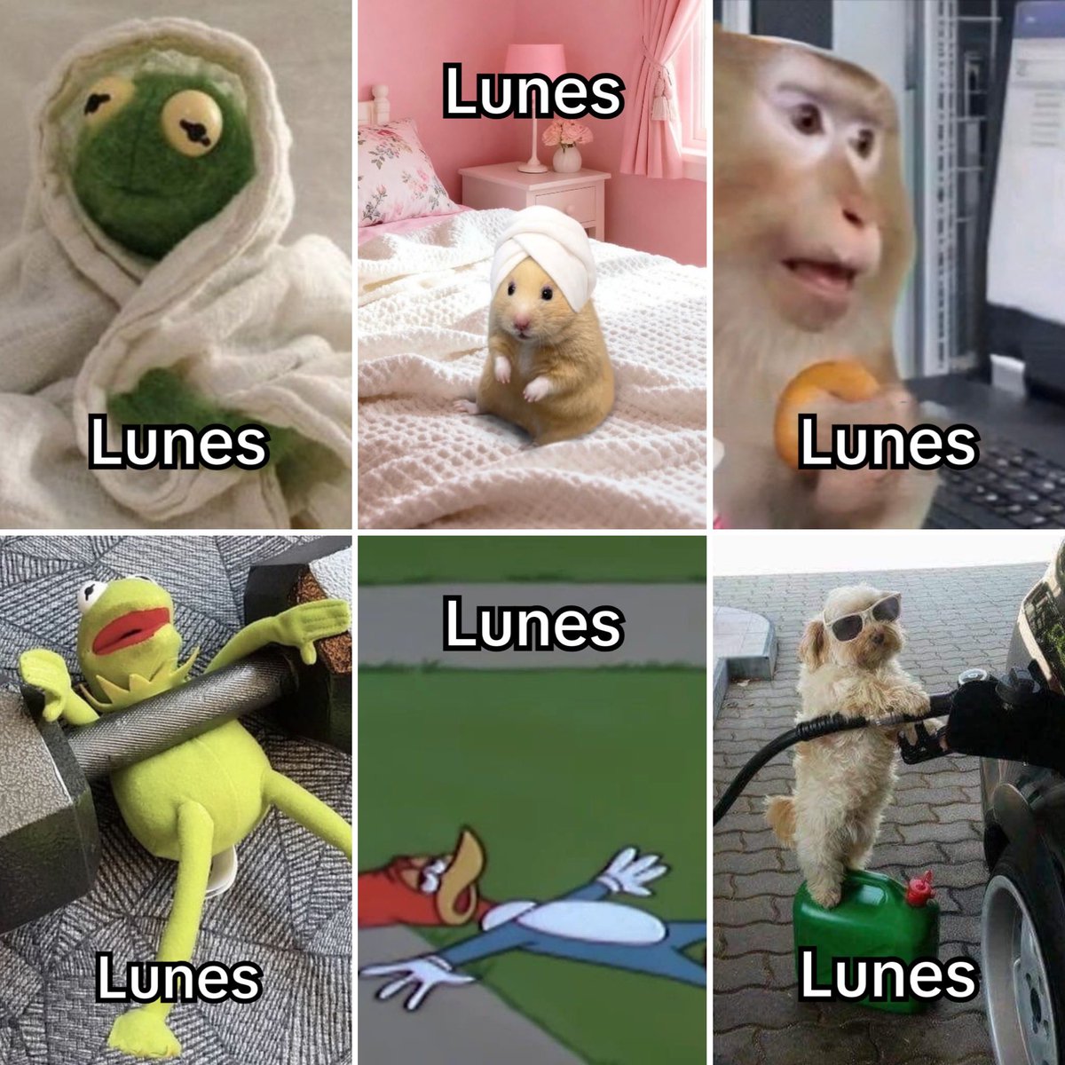 Guarromantico_'s tweet photo. Lunes. https://t.co/cXNgEX69pQ