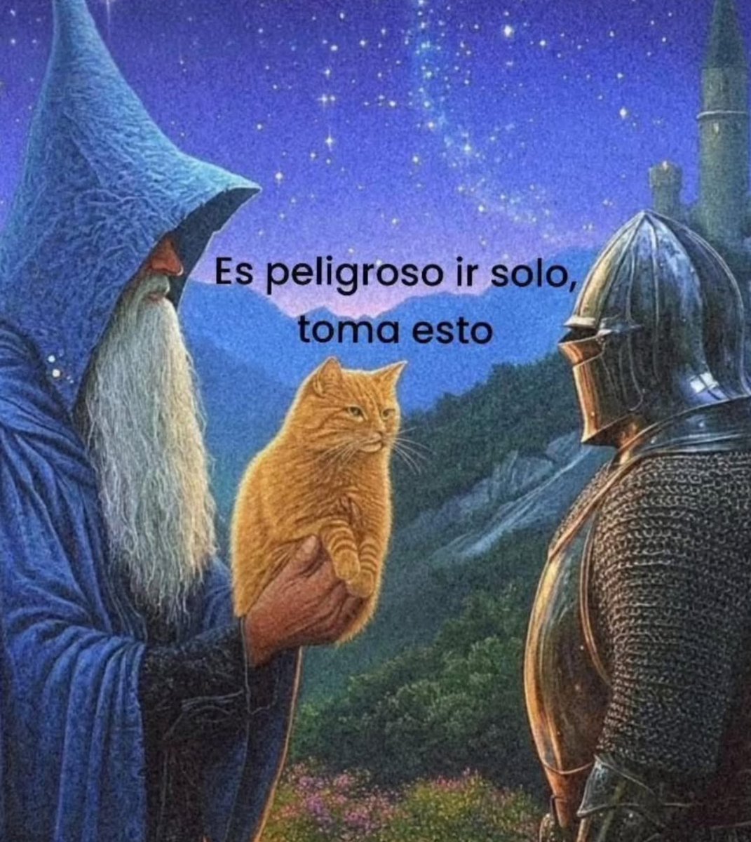 𝕷𝖔𝖛𝖎𝖓𝖌 𝕸𝖊𝖒𝖊𝖘 🥕 (@memes4love1) on Twitter photo 