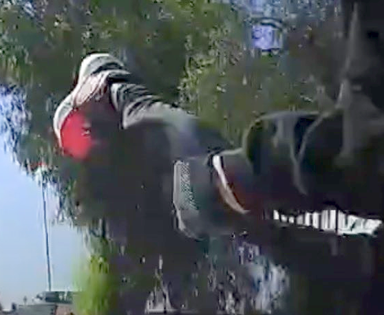 Betoid555 tweet media