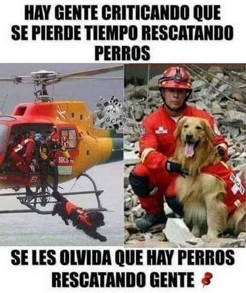 MsCiencia2's tweet photo. NO JUZGUEMOS sin VALORACIÓN, sin CONOCIMIENTO, sin CORAZÓN. https://t.co/44KHj647C5