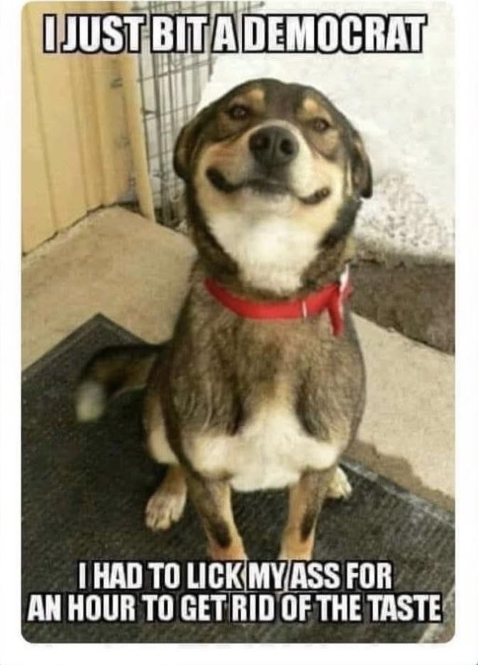 Happy Monday. Been trolling libs all weekend. They are so stupid they just keep coming for more no matter how badly I destroy their narrative.