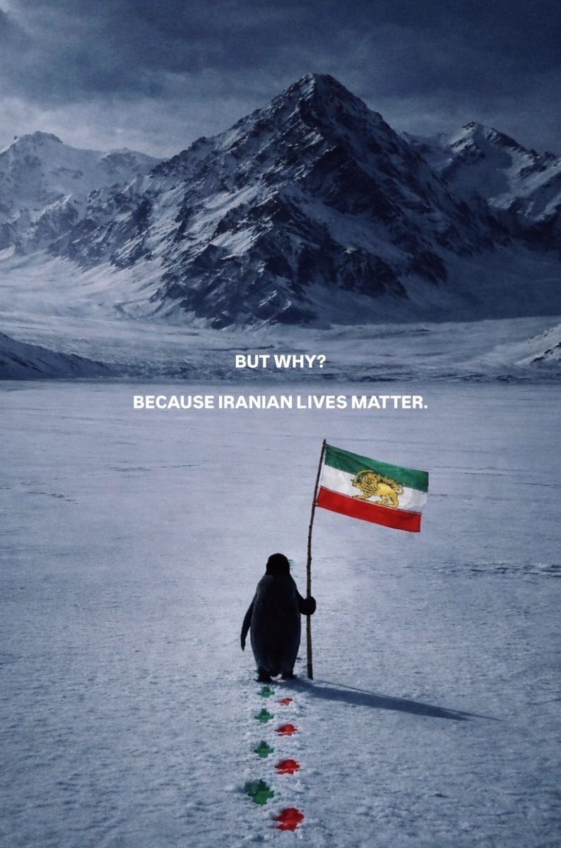 NaggingNoob tweet media