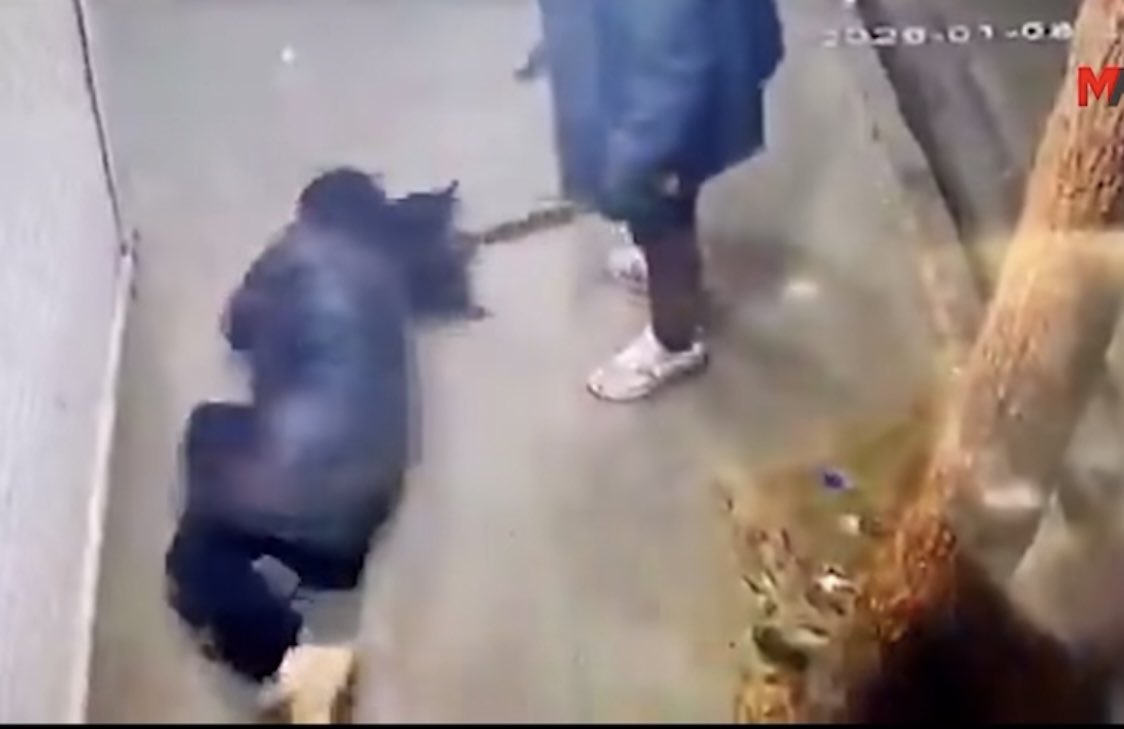 Li Îranê di encama tundî û  îşkenceya rejîma Îranê de jina bi navê Sara Ebrahîmî jî jiyana xwe ji dest da. Di vî dîmenê ku di 23ê çile de hatî parvekirin de îşkenceya li Sara tê kirin, nîşan dide. Divê bi awayekî lezgînî ev îşkence û qetlîama li ser jinên li Îranê bi dawî bibe.