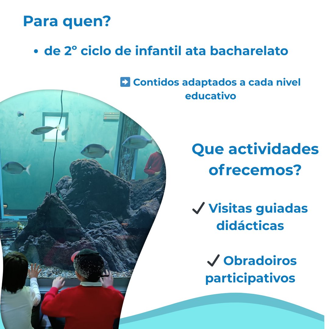 museodomar tweet media