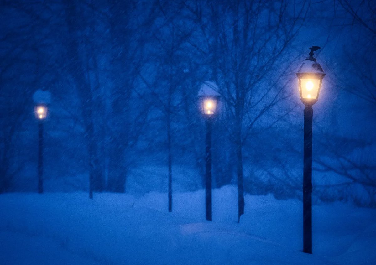 OnHighlands's tweet photo. A scene straight out of an old winter storybook 📚
📸 @adampaulfrisk
📍Haliburton
#ComeWander #OntariosHighlands #Winter #HaliburtonHighlands #MyHaliburton #MyHaliburtonHighlands #Haliburton #WinterAdventures https://t.co/PeEB5SAazx