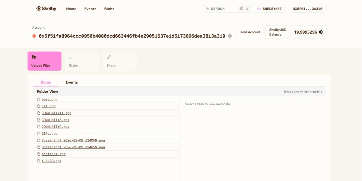 Stephanie tweet media