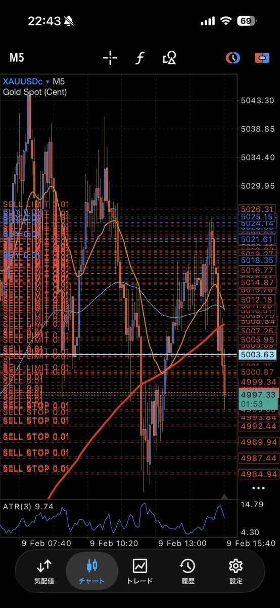 今日はこんな感じ
