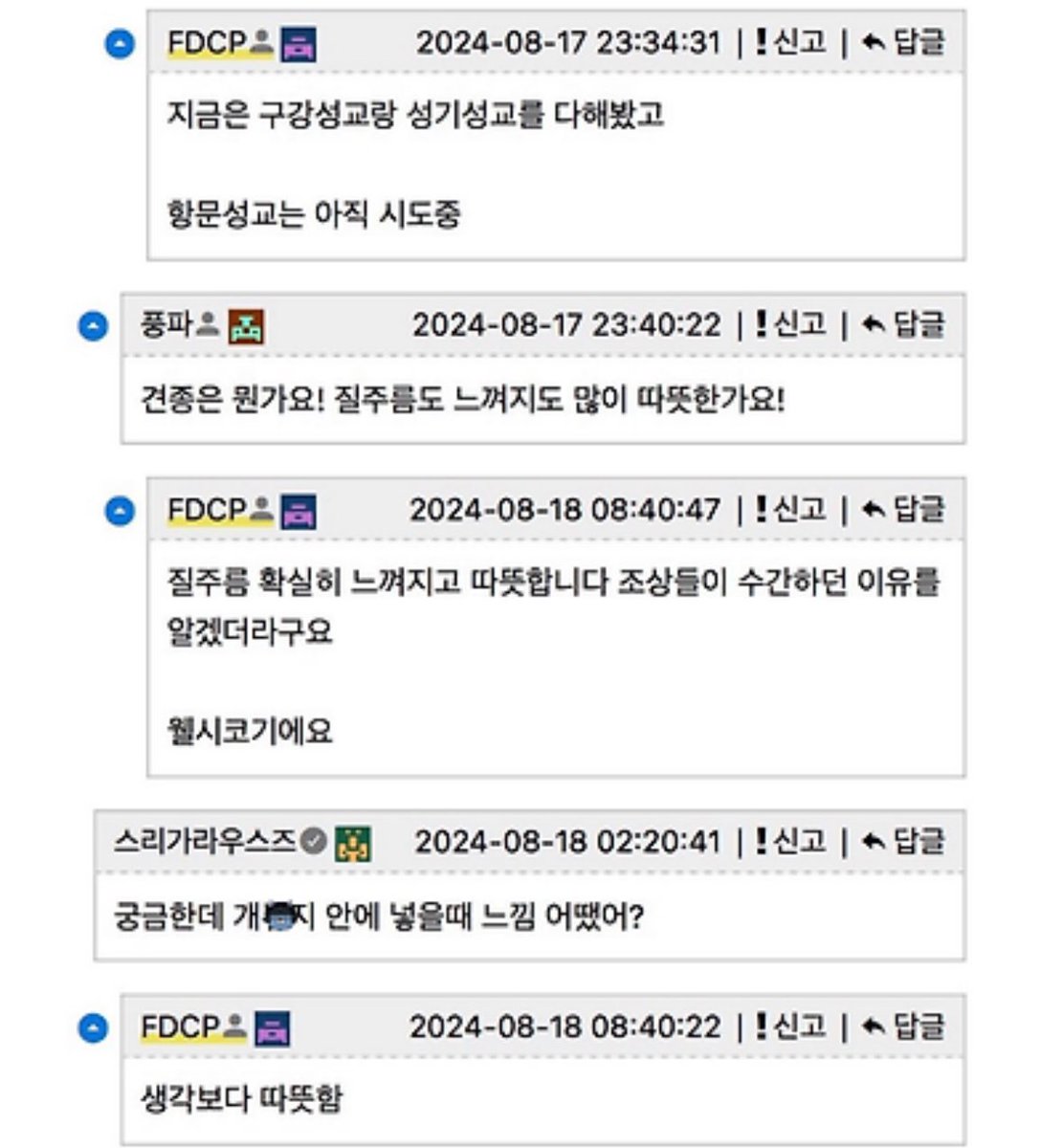 데쳄 Decem tweet media