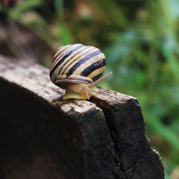 Le Média Positif 🍀 tweet media