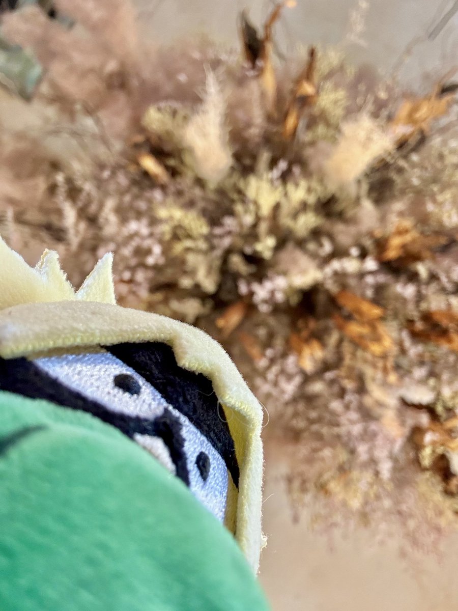 みっちゃん🌈 (@laxja01) / Posts / X