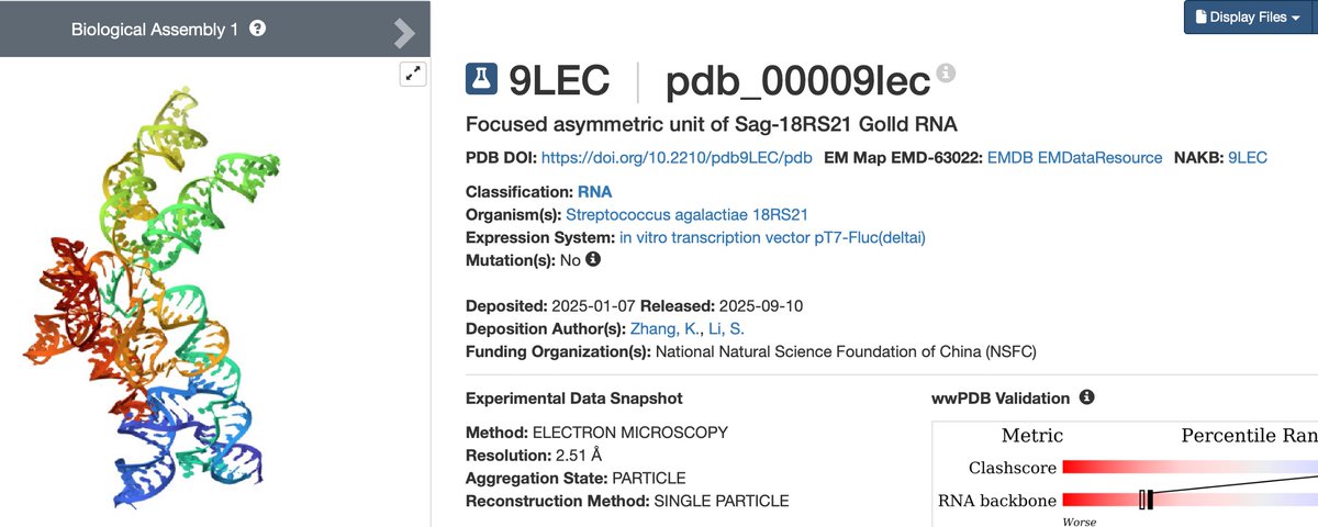 OMUXΩ∞KUT-ASI Junki Kanamori (@MLB_Connection) on X