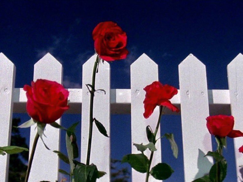JuanFerrerVila's tweet image. Blue Velvet (1986) David Lynch.