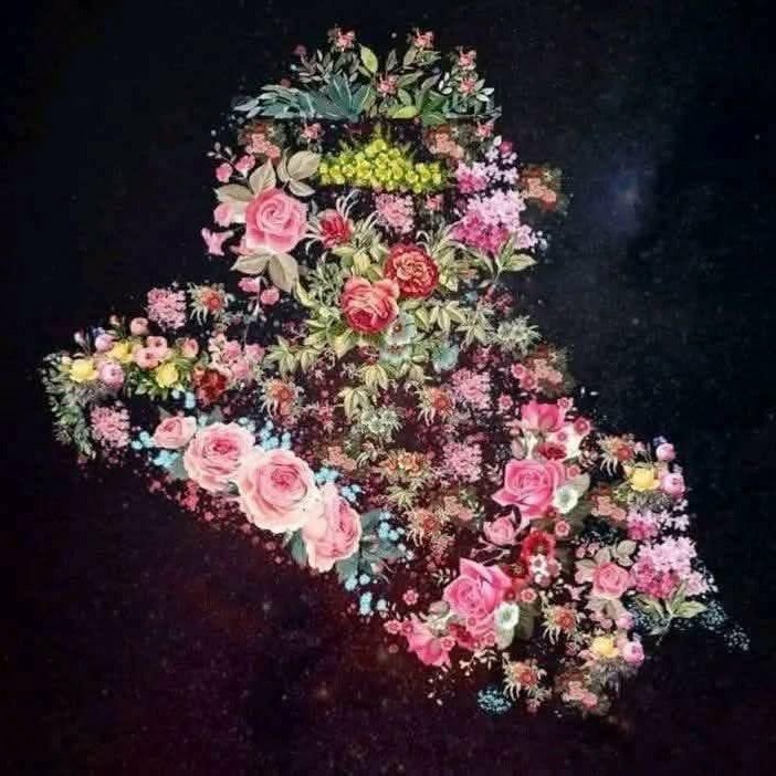 اربعيني جاد مثقف رومانسي كتوم tweet media