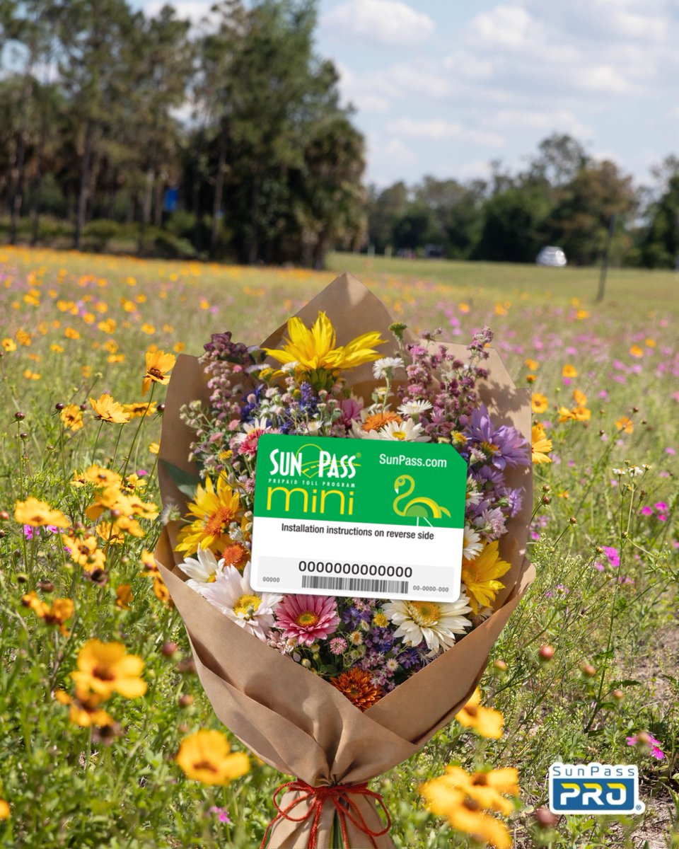 SunPass FDOT tweet media