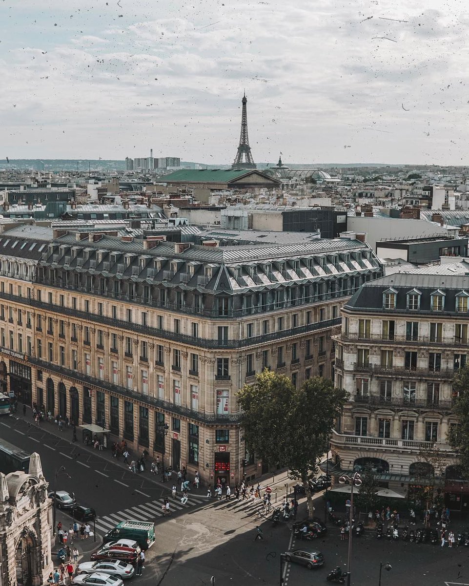 Brandon Donnelly tweet media