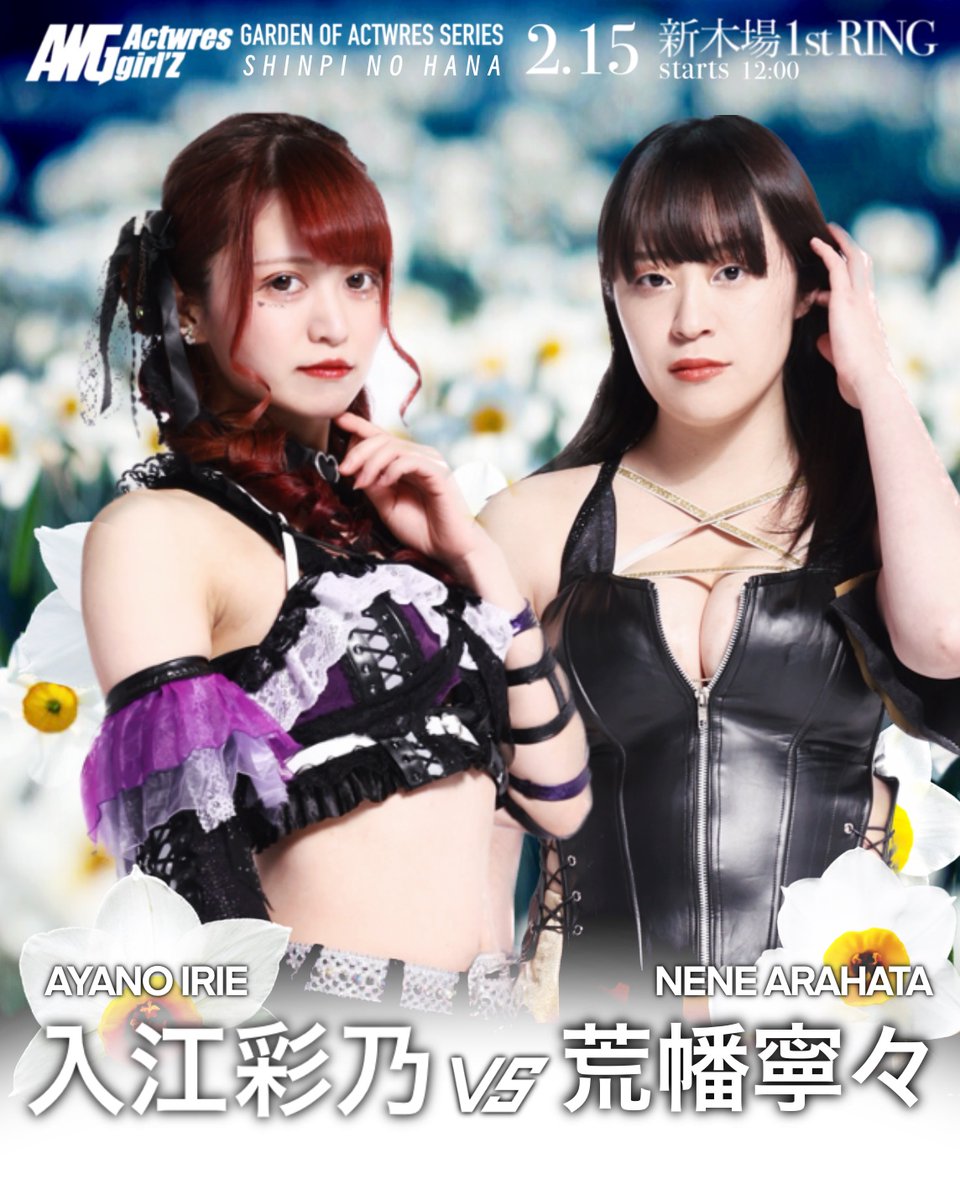 Alfie (アルフィ) #蓮燦 #SaisNest #あーちゃんまる