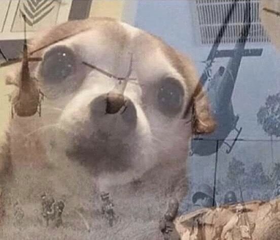 El veterano de Vietnam que fue al Superbowl cuando empezó a ver que las matas les salían patas y se movían: