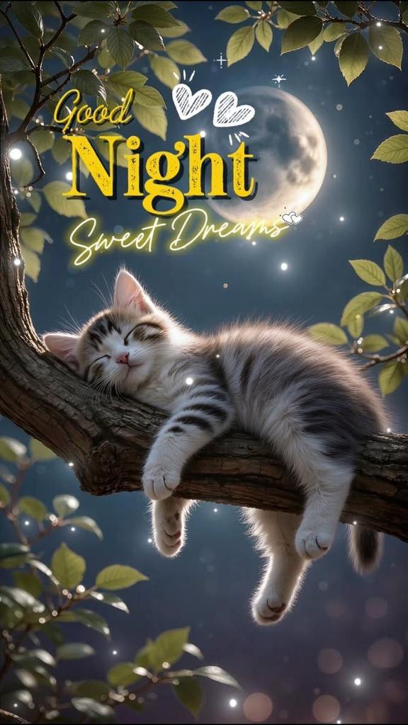 Good night! 🌙✨  

May your dreams be as peaceful as a quiet starry sky and as sweet as the softest moonlight.

Sleep tight and wake up refreshed tomorrow. 😴💤

Sweet dreams! ❤️