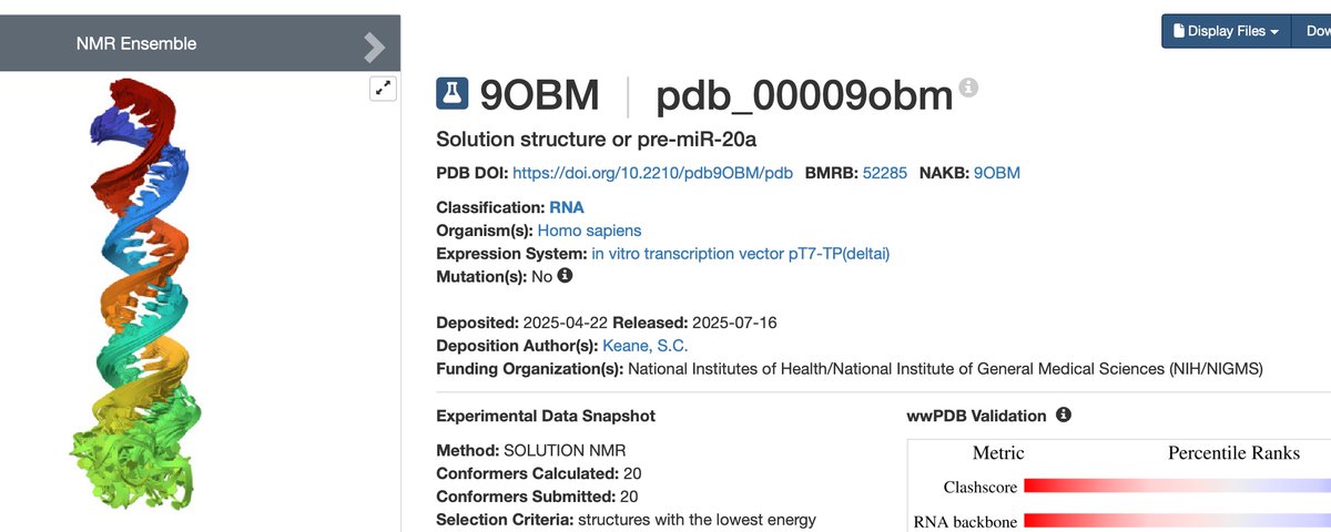 OMUXΩ∞KUT-ASI Junki Kanamori (@MLB_Connection) on X