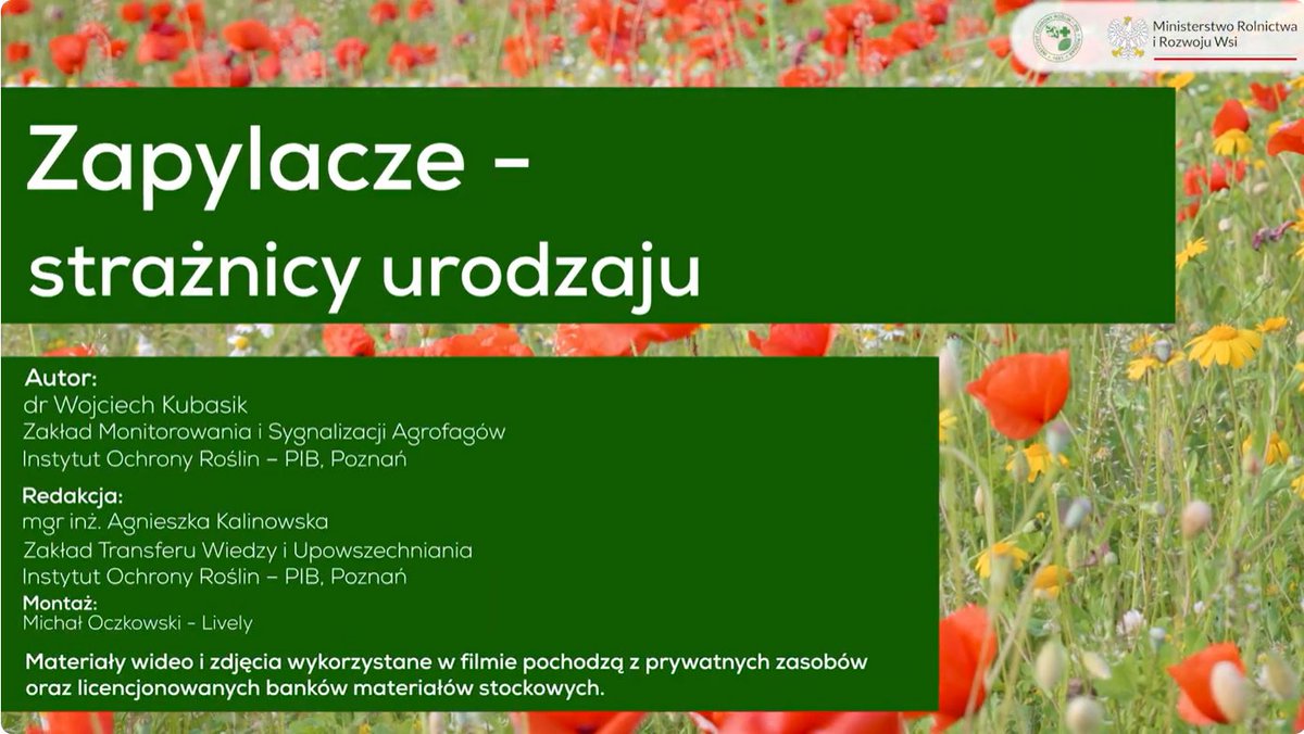 Instytut Ochrony Roślin – PIB tweet media