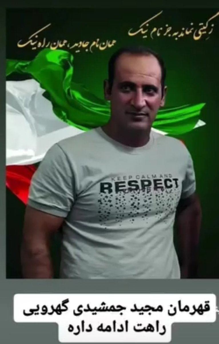 Goldie Ghamari | گلسا قمری 🇮🇷 tweet media