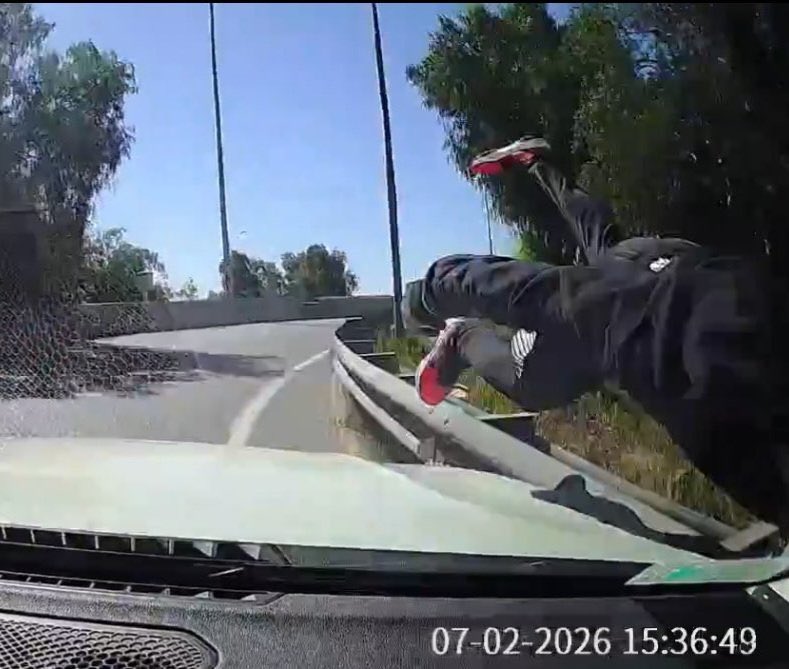 blacksnake7 tweet media