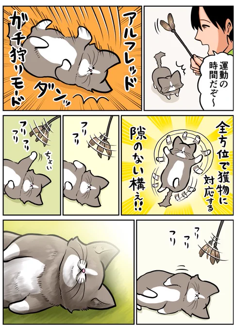 本気のアルフ(過去日記) 