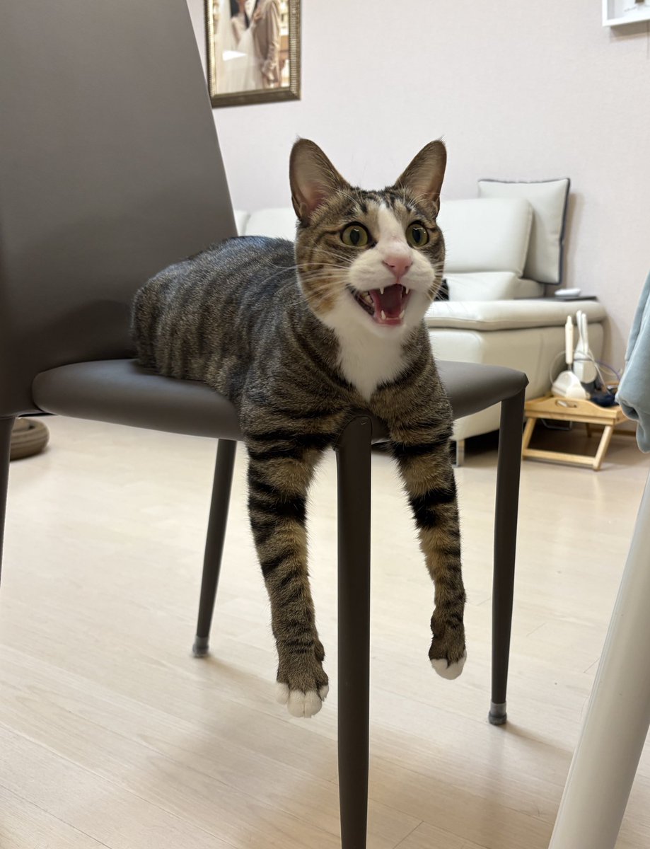 햇살이는 사진이 시끄러운편 입니다ㅋㅋㅋ