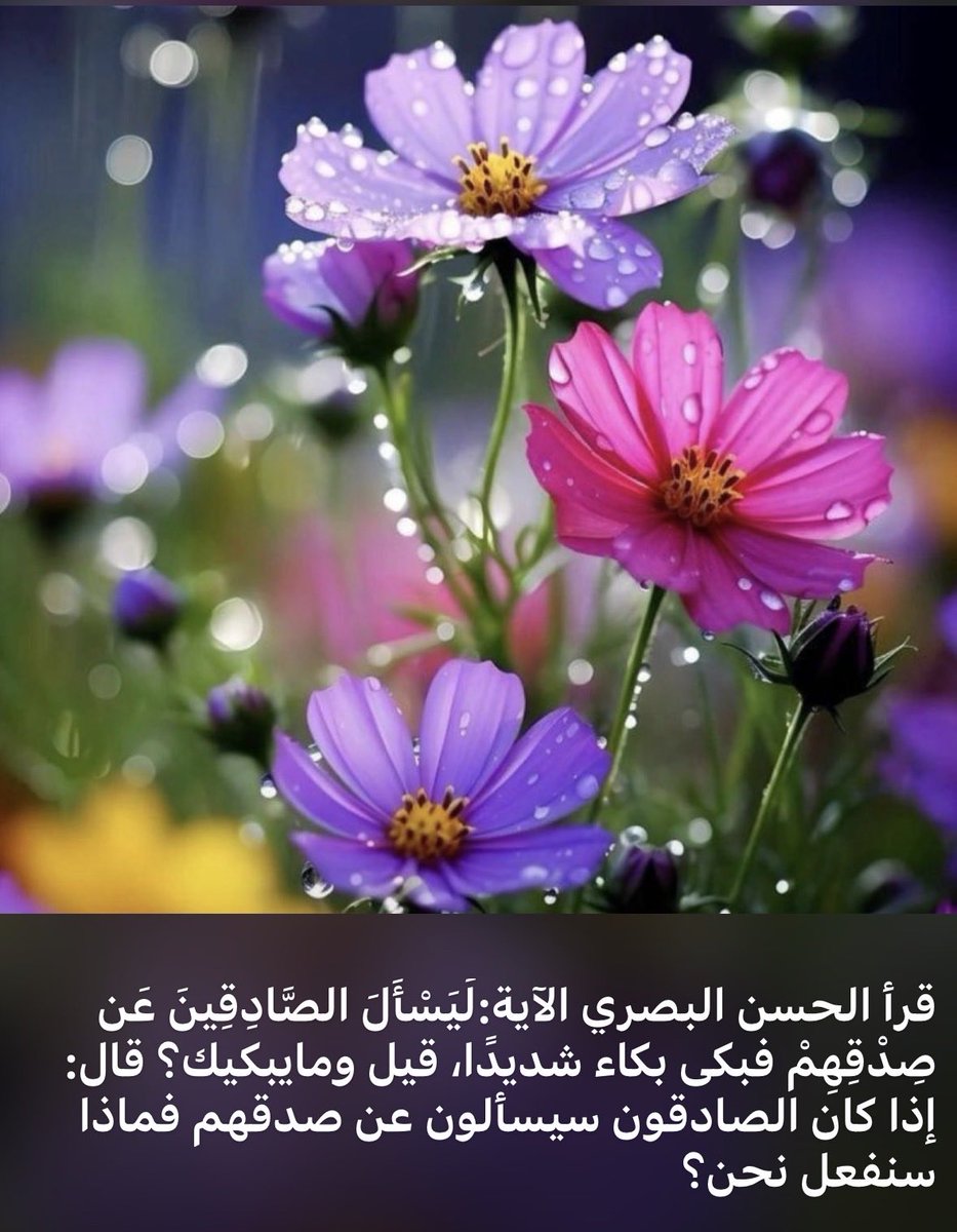 قرأ الحسن البصري الآية:لَيَسْأَلَ الصَّادِقِينَ عَن صِدْقِهِمْ فبكى بكاء شديدًا، قيل ومايبكيك؟ قال: إذا كان الصادقون سيسألون عن صدقهم فماذا سنفعل نحن؟