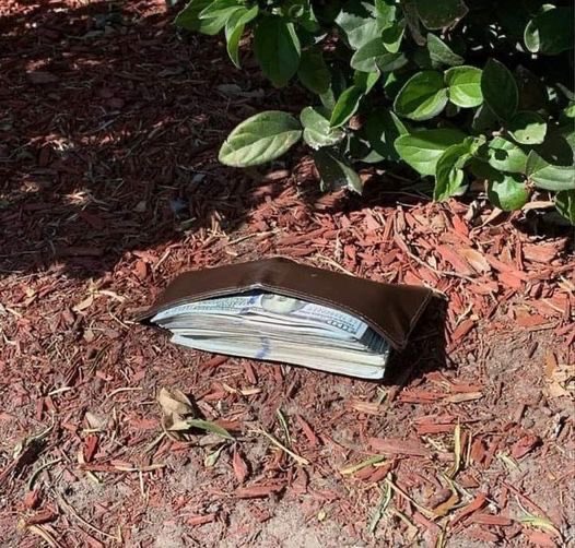 Money💰.
Money💰.
Money💰.
Money💰.
Money💰.
Money💰.
Money💰.
Money💰.
Money💰.
Money💰.
Money💰.
Money💰.
Money💰.
Money💰.
Money💰.
Money💰.
Money💰.
Money💰.
Money💰.
Money💰.
Money💰.
Money💰.
Money💰.
Money💰.
Money💰.
Money💰.
Money💰.
Money💰.
Money💰.

Money is Coming💵.