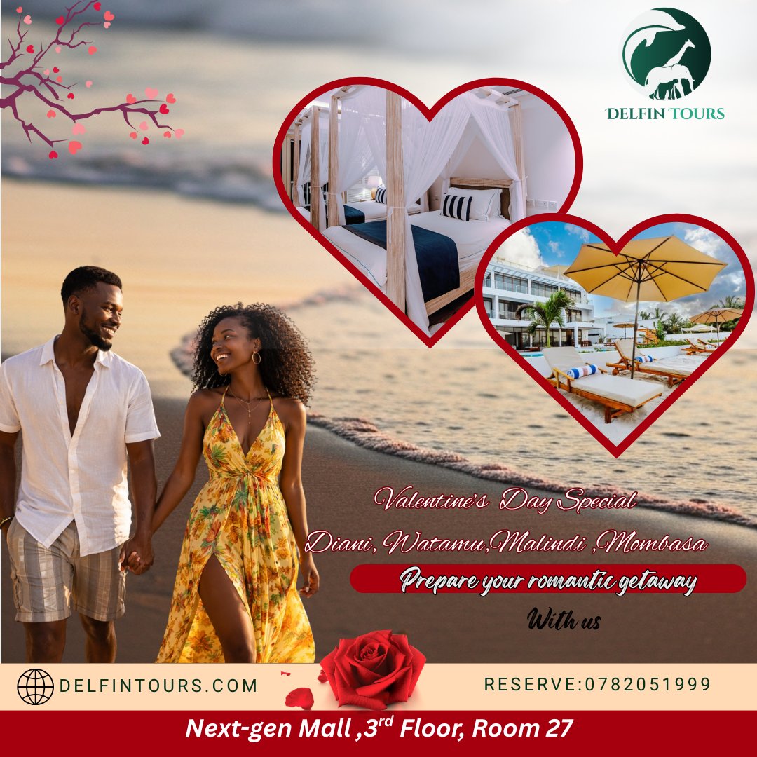 Delfin Tours & Safaris tweet media