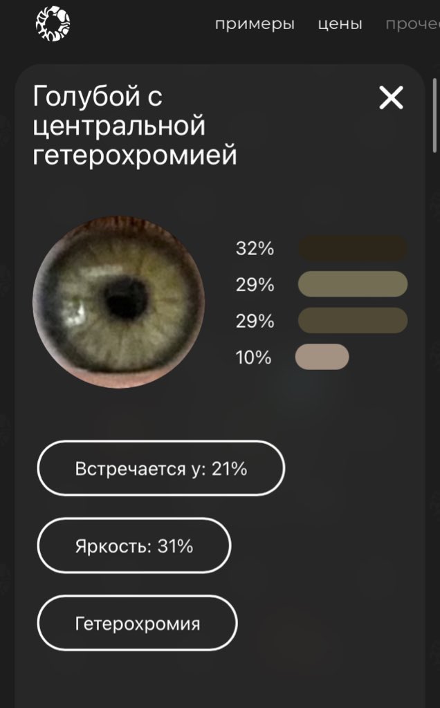Сирин tweet media