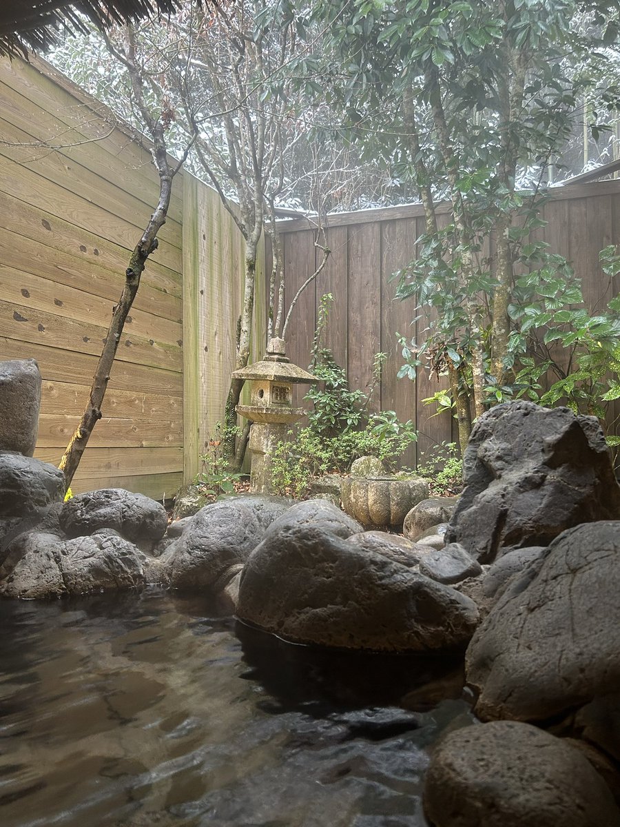 宿に温泉ついてて、朝から雪見風呂
最高だった