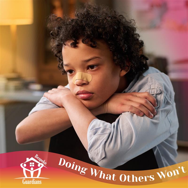 Bespoke Guardians LTD tweet media