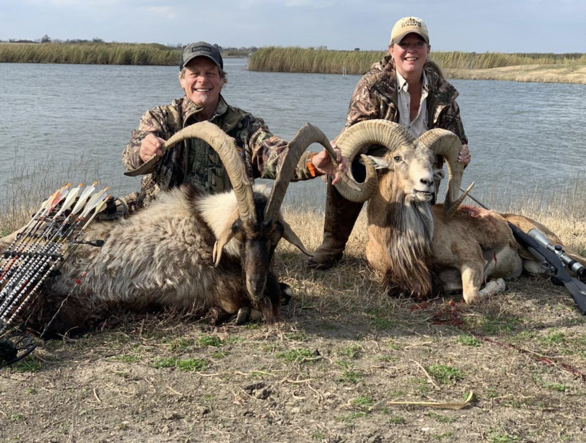 Hunter Nation tweet media