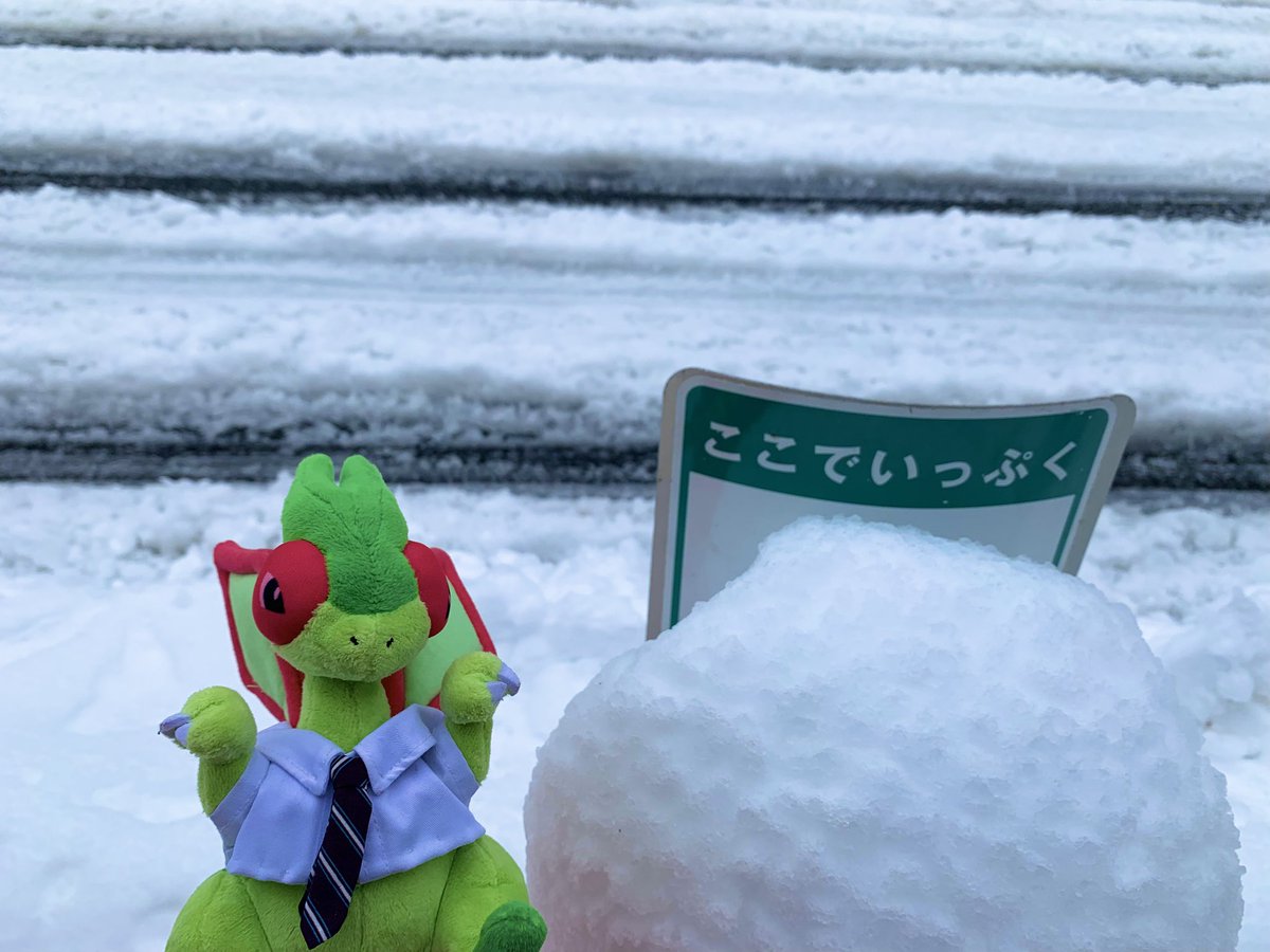 はたらくフライゴン tweet media