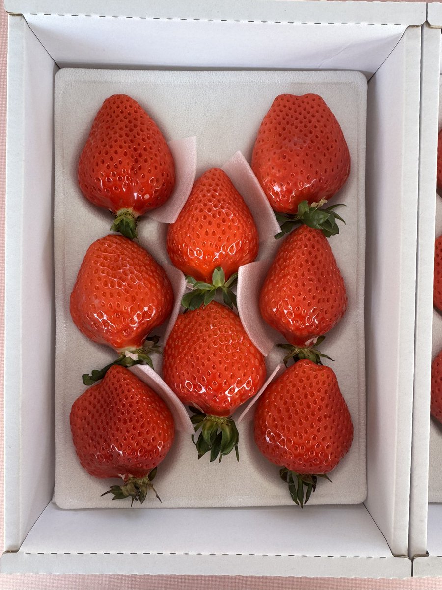 いちごやのショウタ (@mukasaichigo) / Posts / X