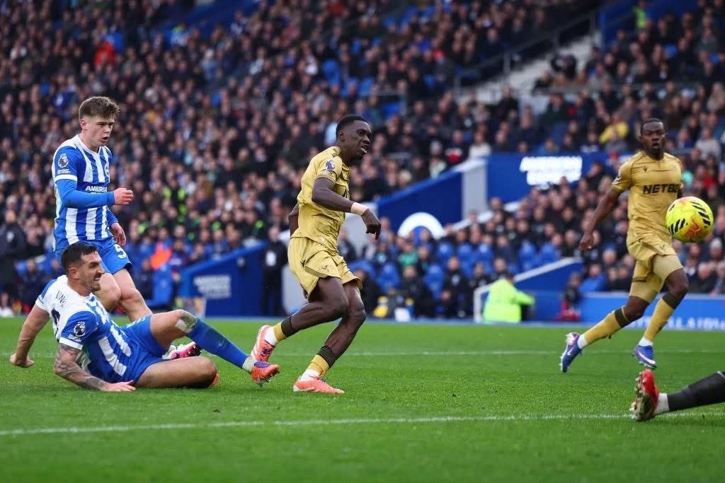 Matt Camp tweet media