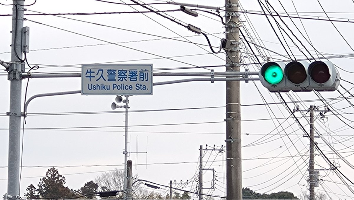 市道側は、小糸工業のDN型第2世代西日対策レンズのロングフードです