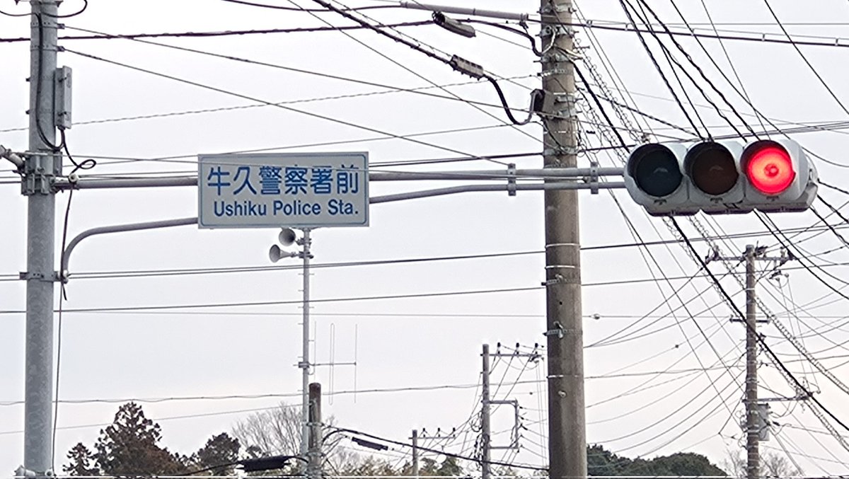 市道側は、小糸工業のDN型第2世代西日対策レンズのロングフードです