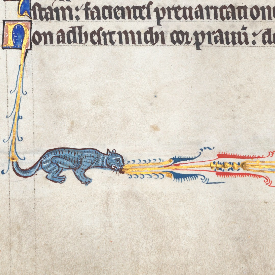 NewCollegeLib's tweet image. Nothing out of the ordinary here, just your standard fire-breathing cat . . . 😆

😺🔥🔥🔥🔥🔥🔥🔥

(@NewCollegeOx, MS 322, f. 98v)

#ManuscriptMonday #Manuscript #MedievalTwitter