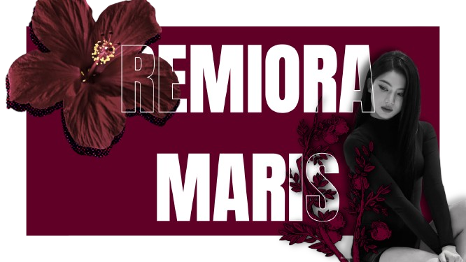 R͟E͟M͟I͟O͟R͟A tweet media