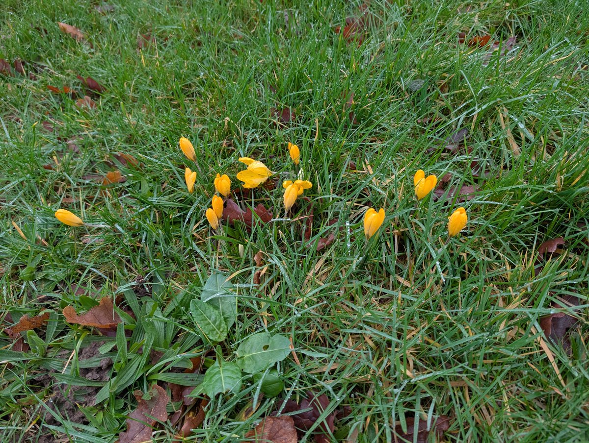 Haslemere Museum tweet media