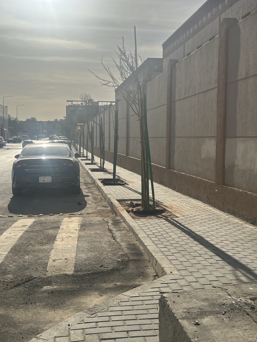 هذا مثال للنموذج الاقتصادي المستدام للتشجير حول مدارسنا بالتركيز على زراعة الأشجار المحلية ذات الكفاءة العالية في استهلاك المياه وفي تحمل درجات الحرارة المرتفعة صيفا المنخفضة شتاء،، كما هو حال هذه المدرسة في حي قرطبة بمدينة الرياض.
كل الشكر والتقدير لـ