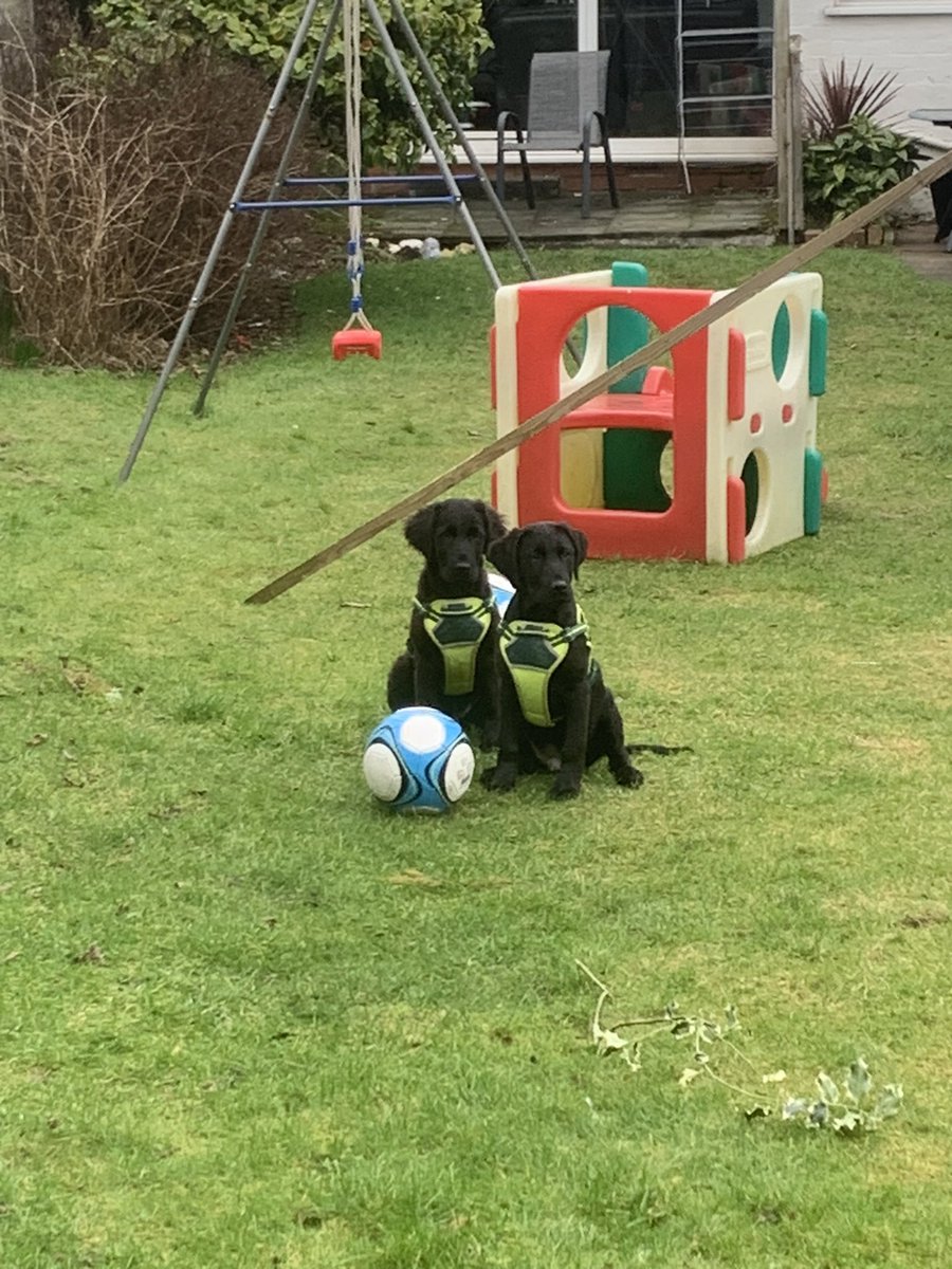 Great to see Rodri and Ruben post match photo <a href="/ManCity/">Manchester City</a> 😂😂😂
