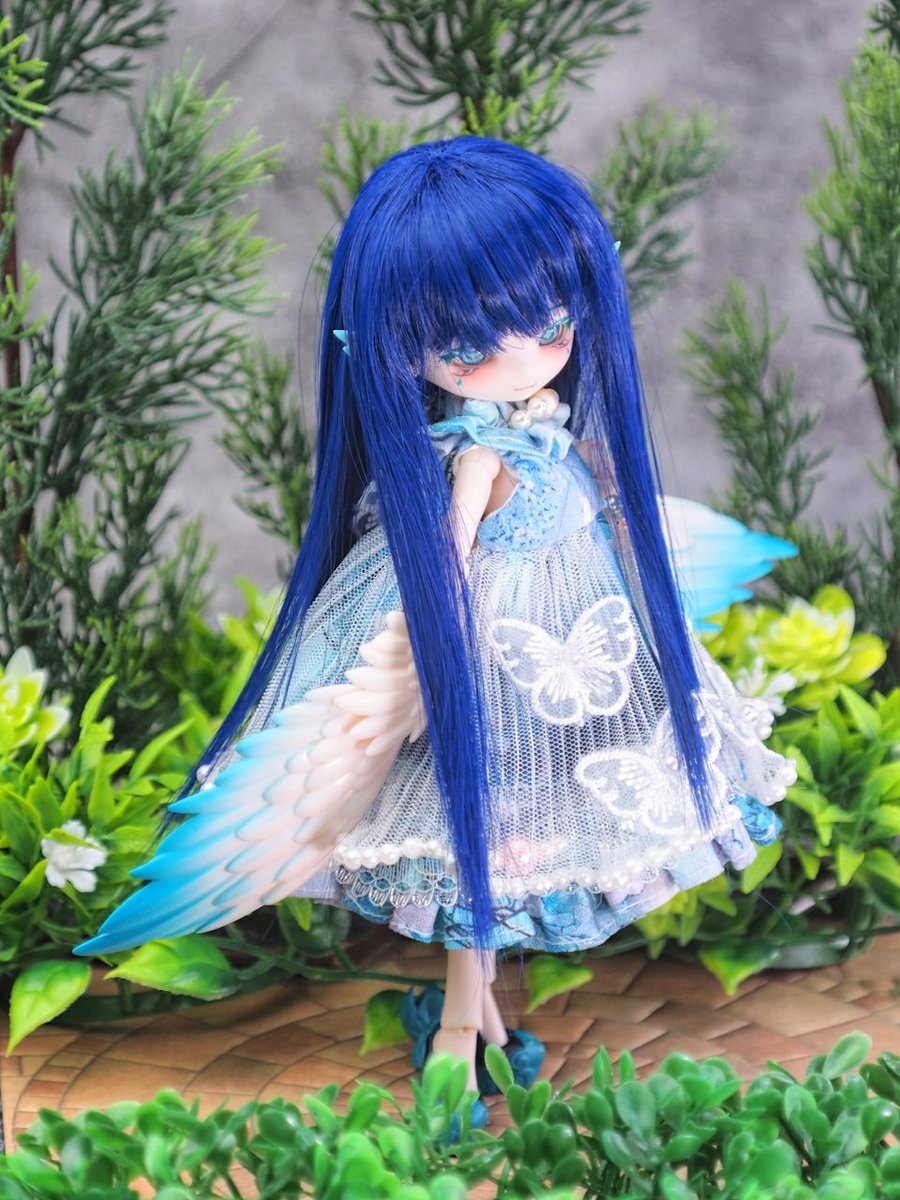 とりあえず、新しいこに手持ちにあった青色のウィッグを被せてみました