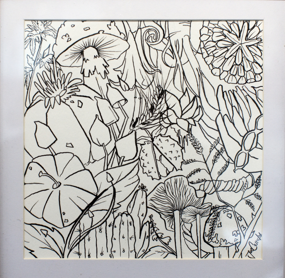 ipsartsoc's tweet photo. The #IpswichArtSociety #Exhibition of #Black &amp; #White #Drawings on the theme of #Flora are still on display in the wonderful #GreenhouseGallery on #StNicholasStreet #Ipswich #Suffolk all welcome. https://t.co/Kwq2noi5fH